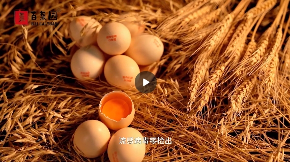 &#24320;&#20113;&#40;&#20013;&#22269;&#41;&#75;&#97;&#105;&#121;&#117;&#110;